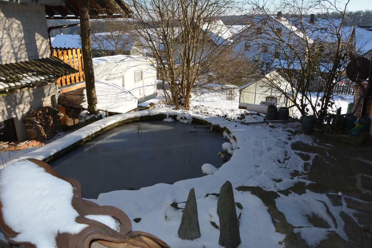 Ferienhaus Winterberg Bromskirchen エクステリア 写真
